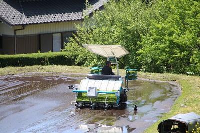 田植えが始まりました