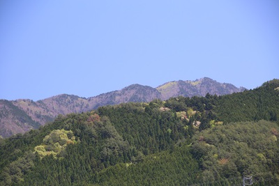 田植えが始まりました