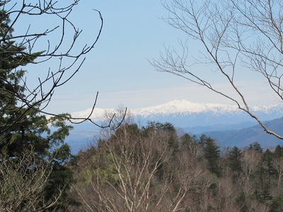 登山道整備作業