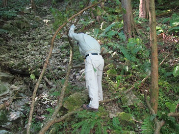 登山道の点検・整備作業