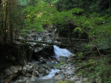 登山道の点検・整備作業