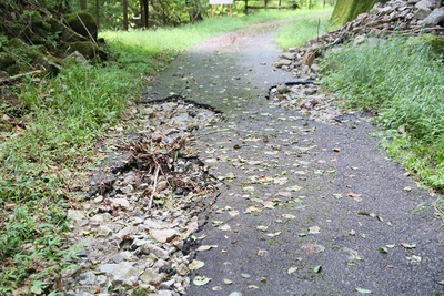 登山道点検