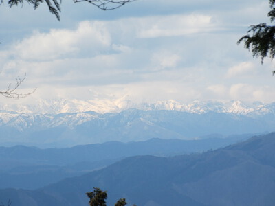 登山道の点検整備・熊笹刈りをしました