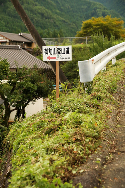 実りの秋の予感
