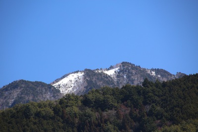 今日は４月の陽気です