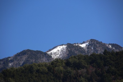 今日は４月の陽気です