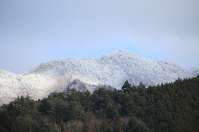 雪の少ない冬です