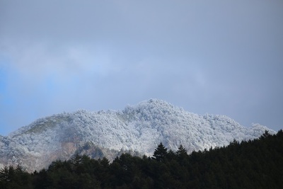 雪の少ない冬です