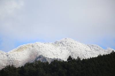 雪の少ない冬です