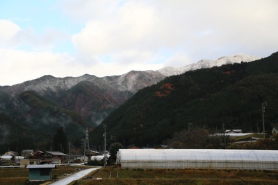 麓でも雪がちらつきました