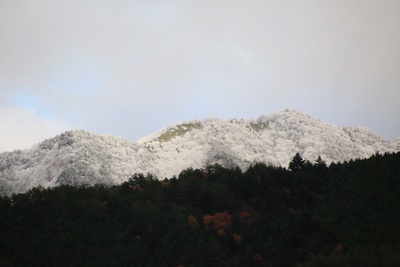麓でも雪がちらつきました