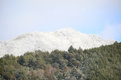 寒波到来
