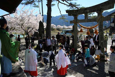 桜吹雪の下で春祭り