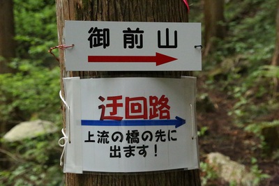 迂回路を手入れしました