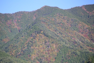 夕焼けに染まる