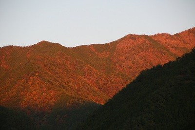 夕焼けに染まる