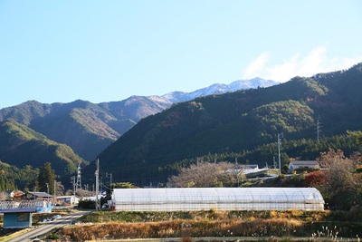御前山冠雪