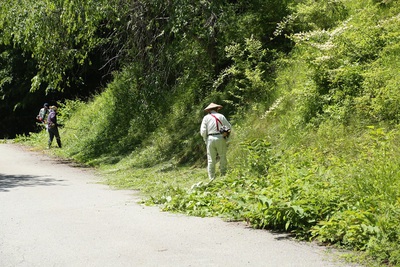 水洞平駐車場の草刈りをしました