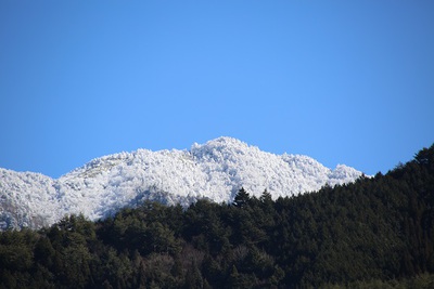 雪景色の山
