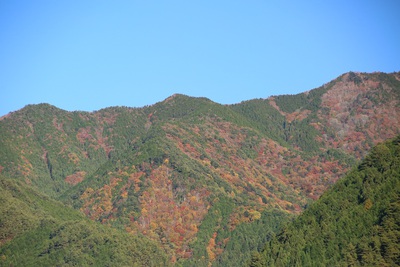 水洞平駐車場に水を引きました
