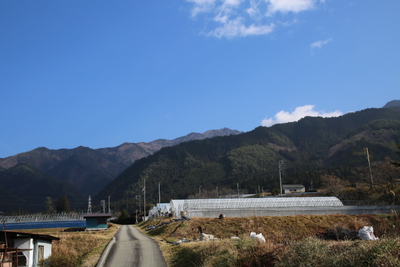 新しい年を迎えました