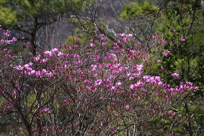 春暖・快晴