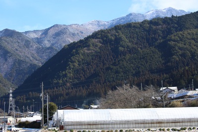 久方の雪です