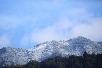 久方の雪です