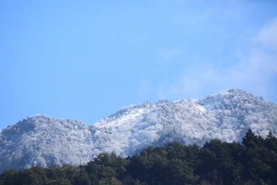 久方の雪です