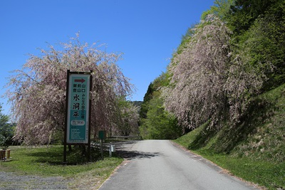 山開き式を行いました