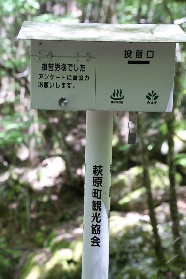５合目まで行って来ました