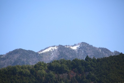 桜咲く