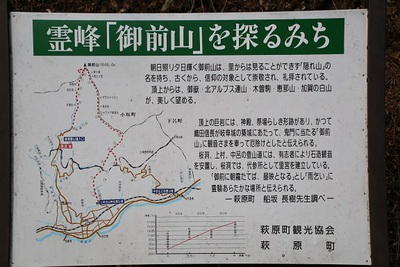 駐車場を桜の名所に