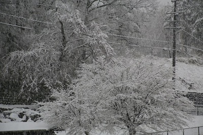 ４月の雪