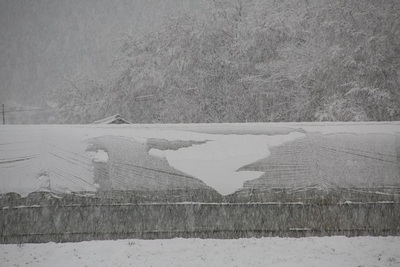 ４月の雪
