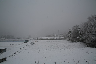４月の雪