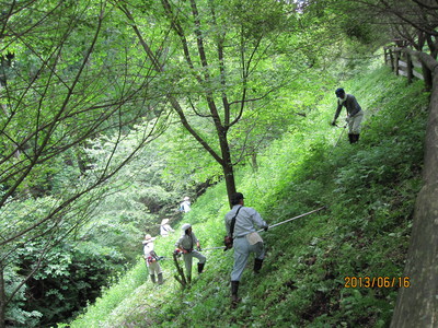 登山口の草刈り作業