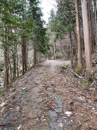 水洞登山口駐車場まで