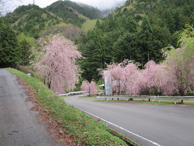 山開き式