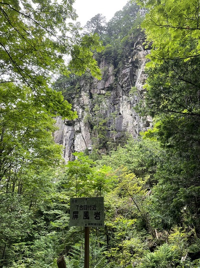 登山道の点検整備・熊笹刈りをしました