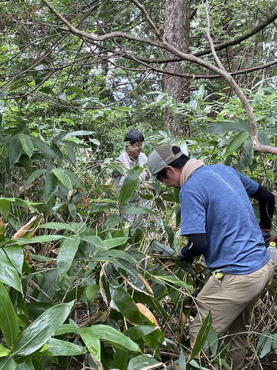 登山道の点検整備・熊笹刈りをしました