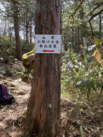 登山道点検実施