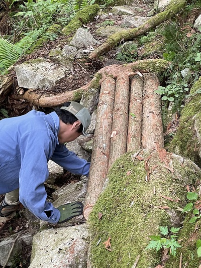 登山道の整備をしました