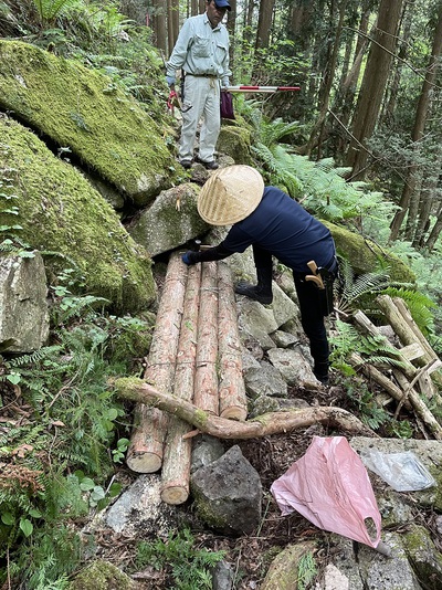 登山道の整備をしました