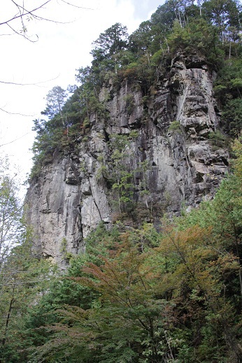 御前山の奇岩・岩に絡む木