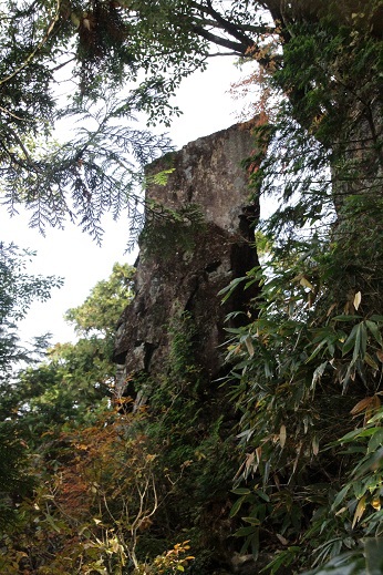 御前山の奇岩・岩に絡む木