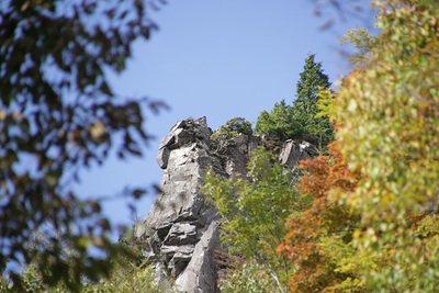 御前山の奇岩・岩に絡む木