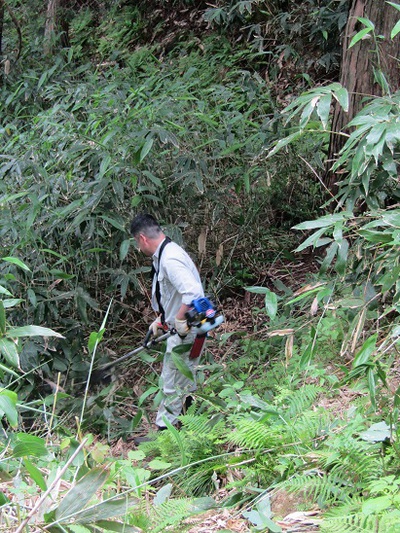 登山道の笹刈り