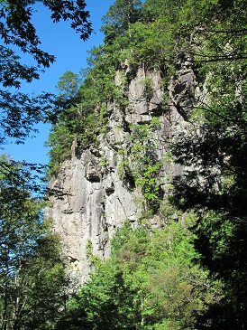 御前山登山道の草刈りをしました