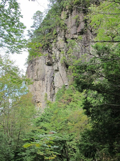 登山道の整備作業